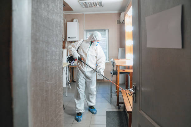 Best Asbestos and Lead Testing During Mold Inspection  in Machias, WA