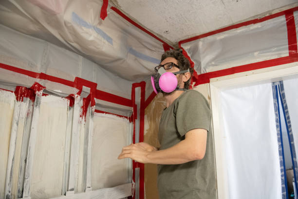 Mold Removal for HVAC Installations in Machias, WA