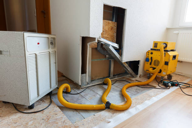 Best Mold Prevention Services  in Machias, WA